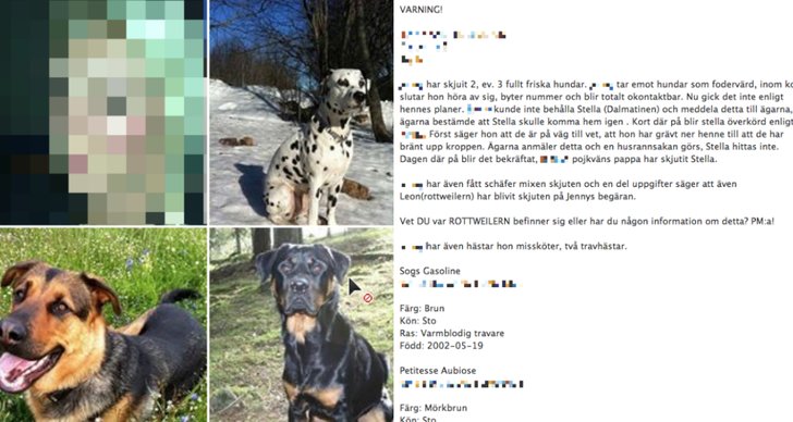 Hund, Matilda Andersson, Varning, Kolumn, Facebook, Djurplågeri, Polisen
